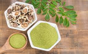 moringa en algerie