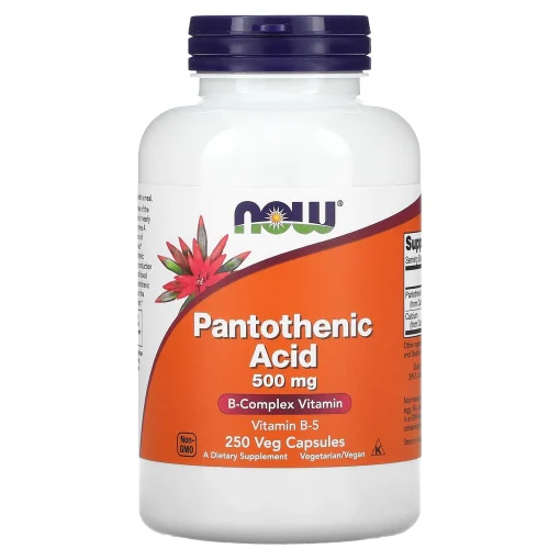 Pantothenic Acid, 500 mg, 250 Veg Capsules — NOW Foods