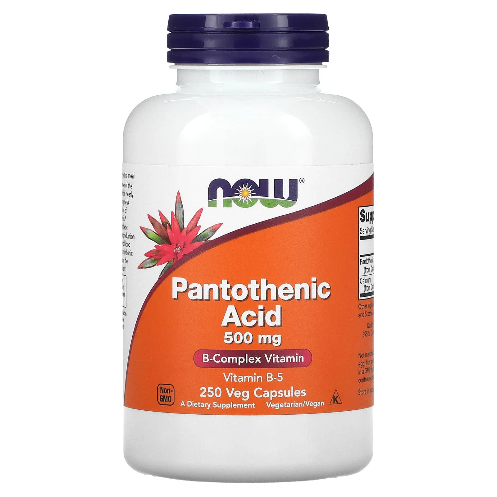 Pantothenic Acid, 500 mg, 250 Veg Capsules — NOW Foods