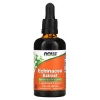Echinacea Extract, 2 fl oz (59 ml) — NOW Foods