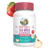 MaryRuth's, Sea Moss Gummies, Green Apple, 60 Gummies (25 mg per Gummy) — MaryRuth's