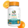 MaryRuth's, Organic Vitamin C Gummies, Orange, 60 Gummies (45 mg per Gummy) — MaryRuth's