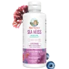 MaryRuth's, Sea Moss + Immune & Energy Liposomal, Citrus Berry, 7.6 fl oz (225 ml) — MaryRuth's